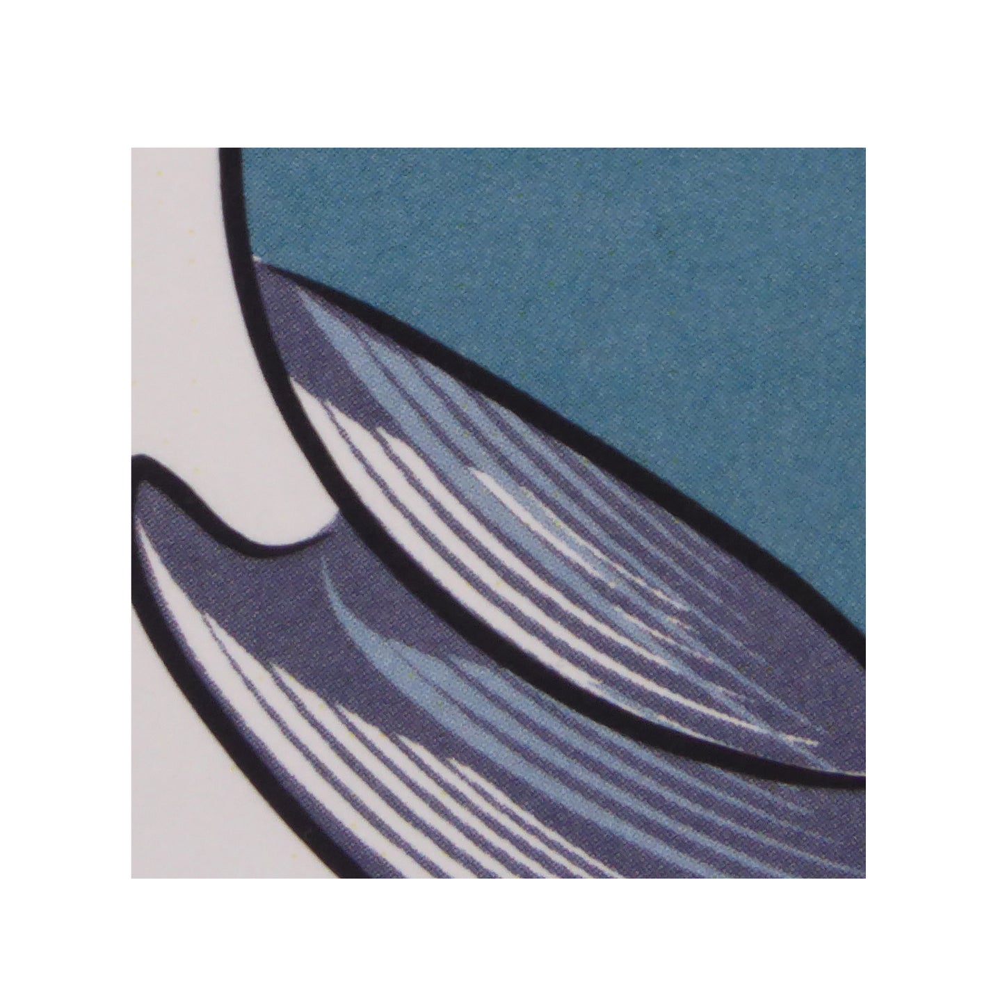 ¿Dónde me llevará viento?