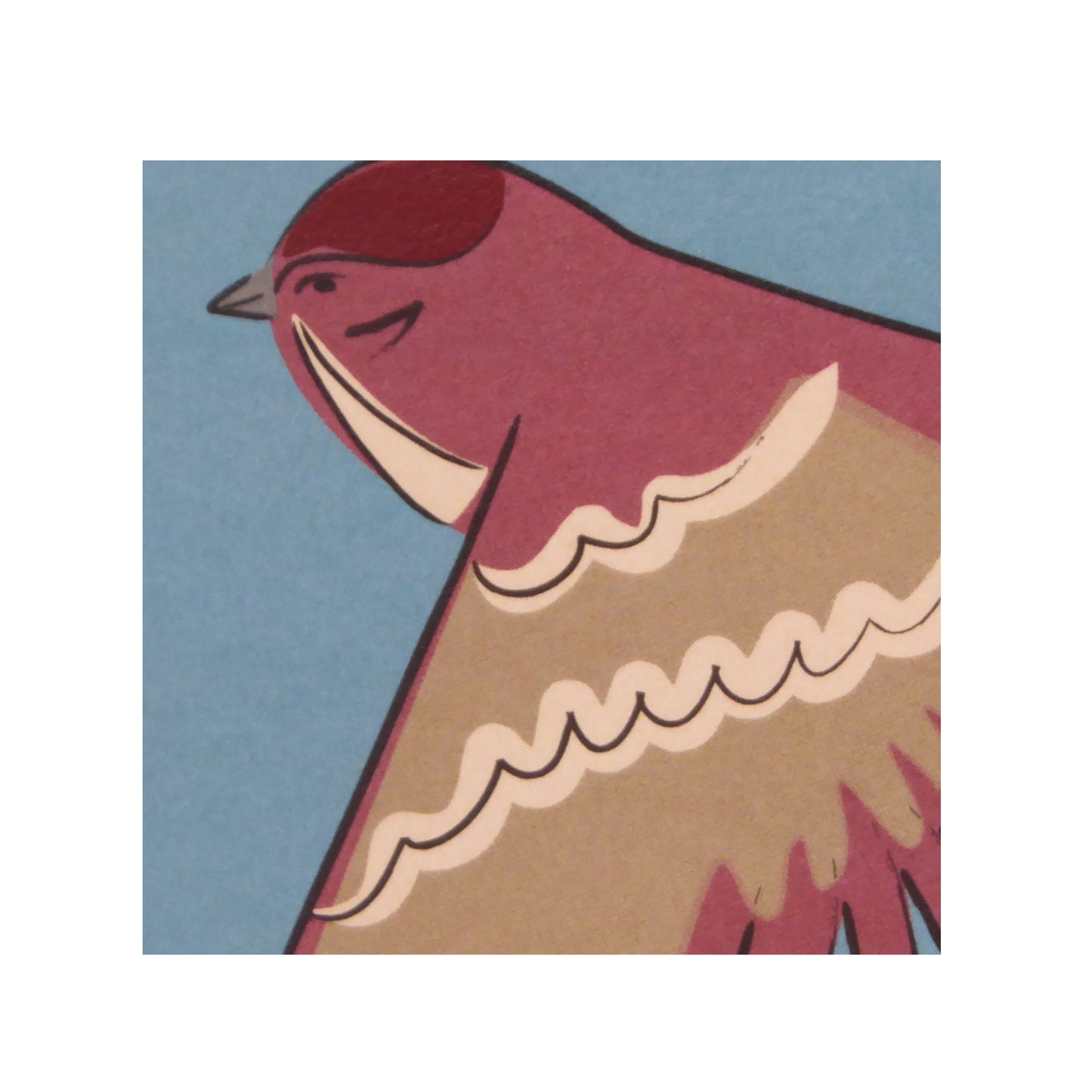 Que viene el gorrión