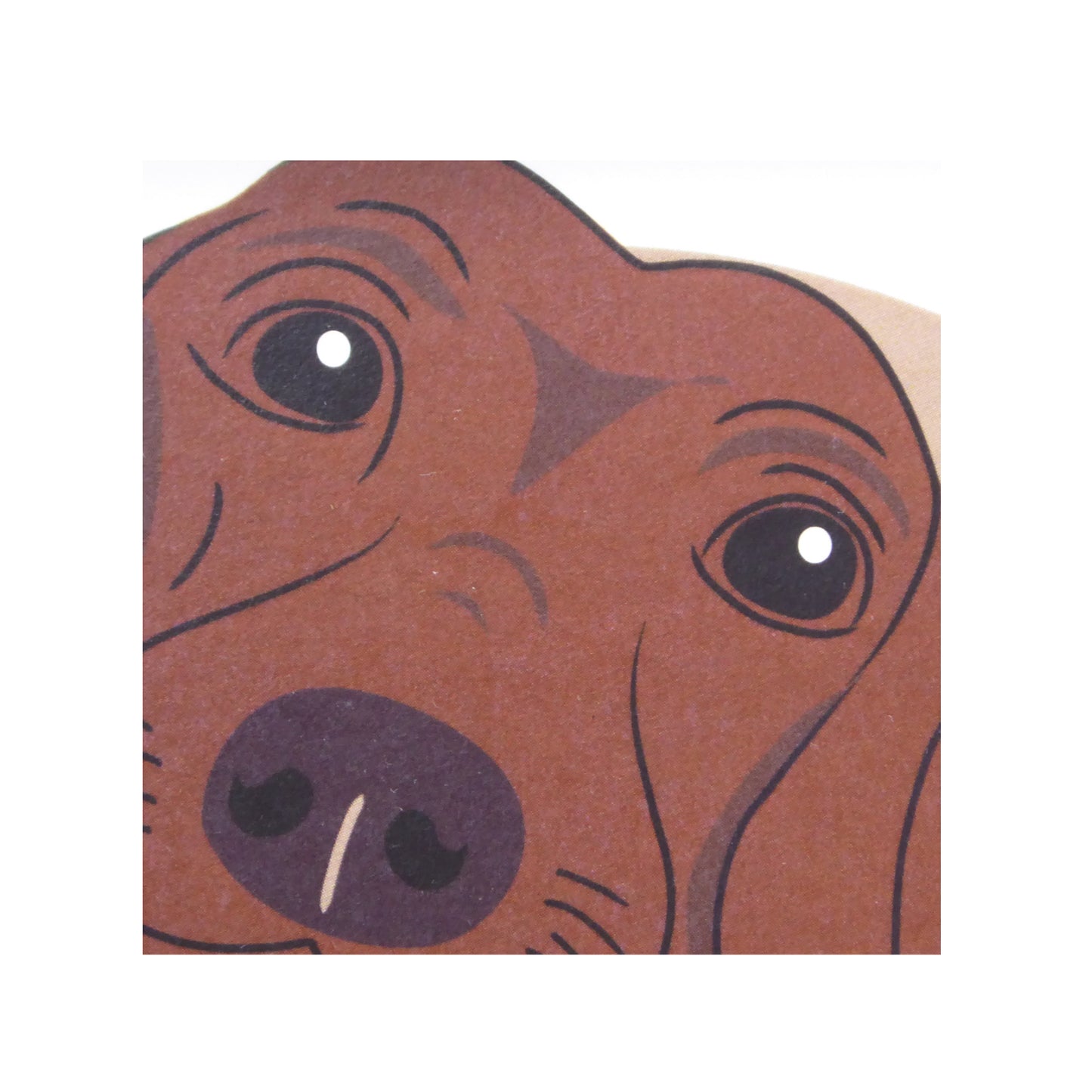 Uno más en la familia