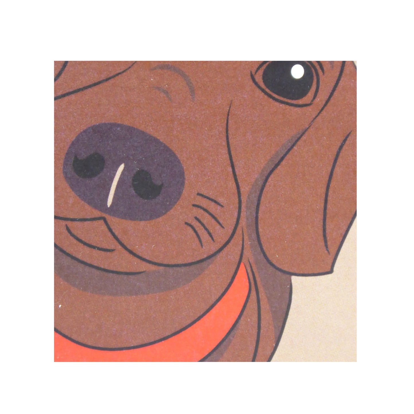 Uno más en la familia